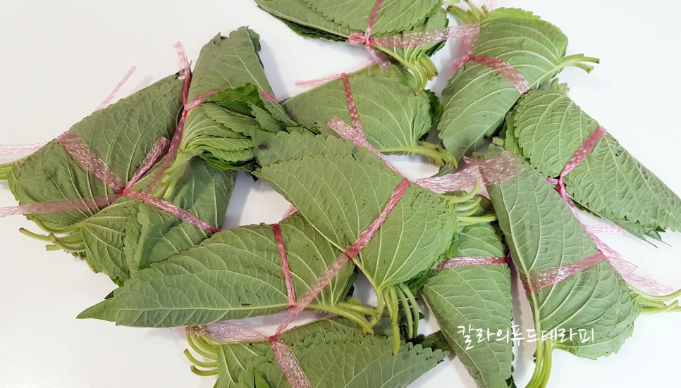 간장 깻잎 100장 만드는 법 절인 음식 간장 비율이 매우 중요합니다.
