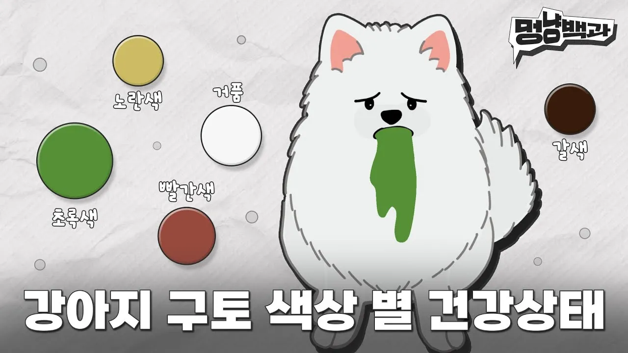 강아지 토 색깔 증상 강아지 토하는 원인과 구토 종류별 건강상태 살펴보기_7