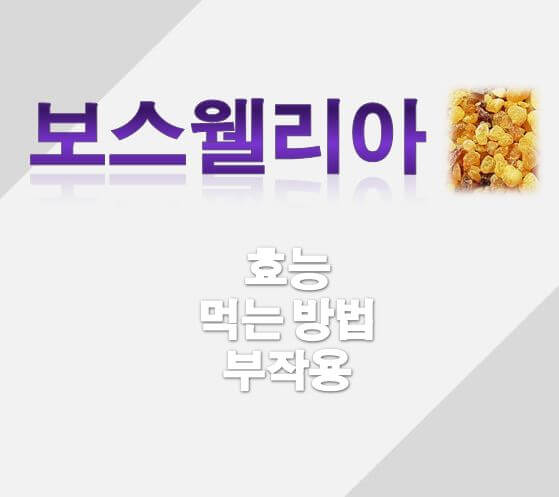  보스웰리아 효능 알아보기