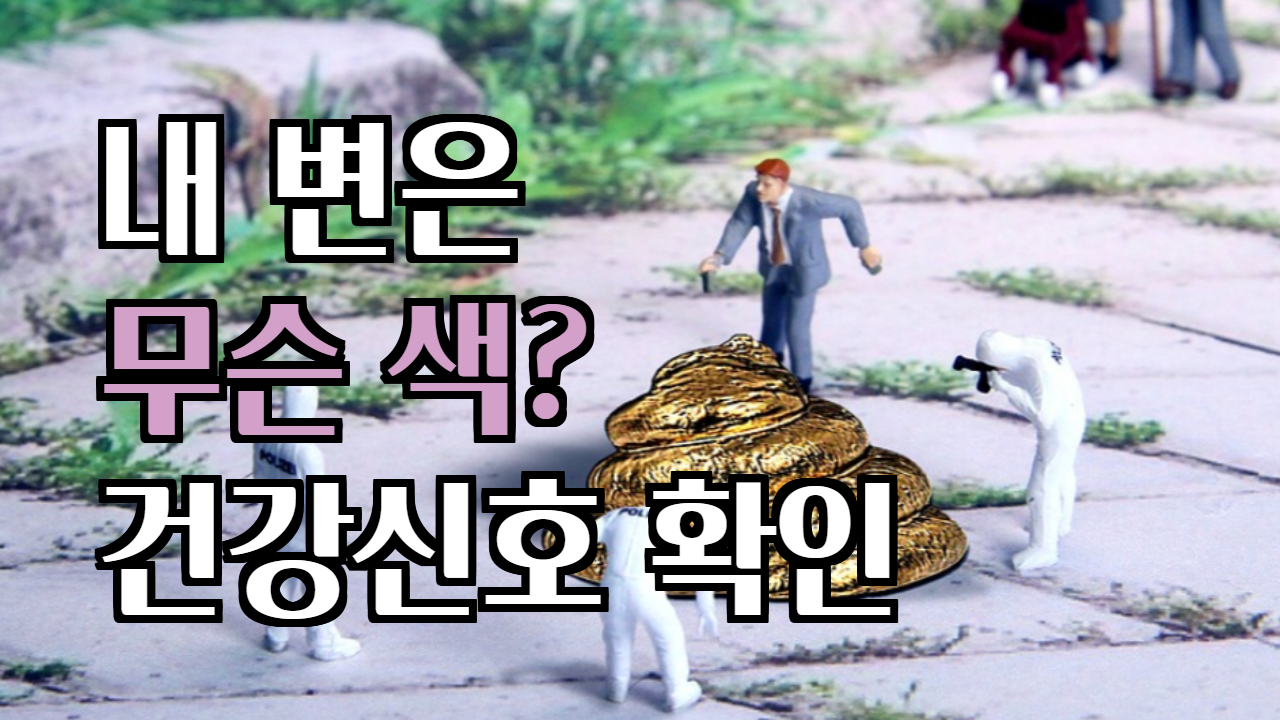  초록색 변, 녹색 변 원인과 이유 알려드려요.
