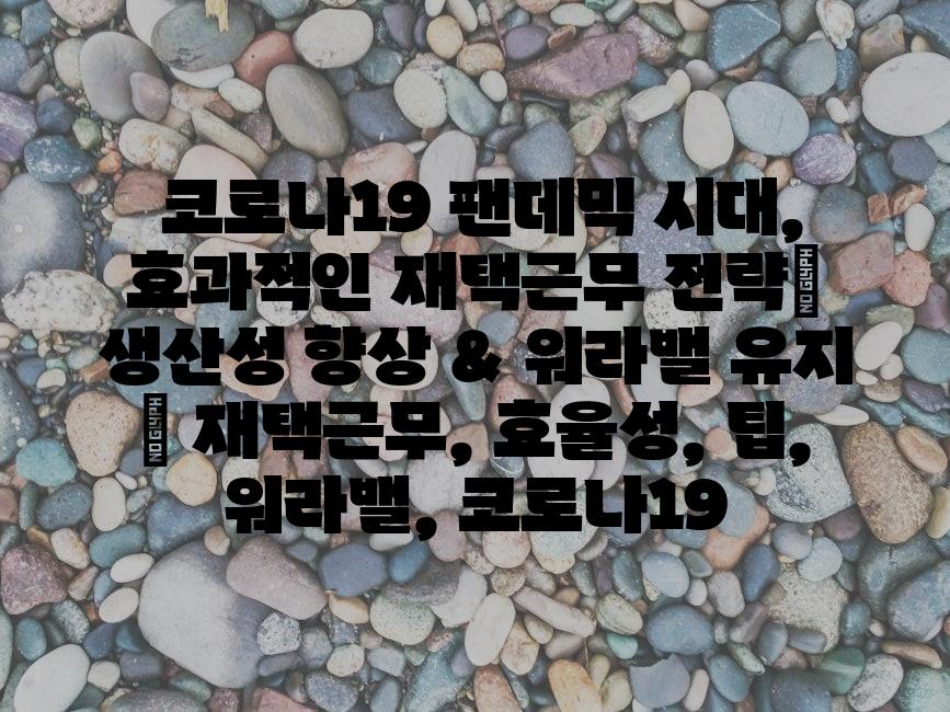 샘플 (82)