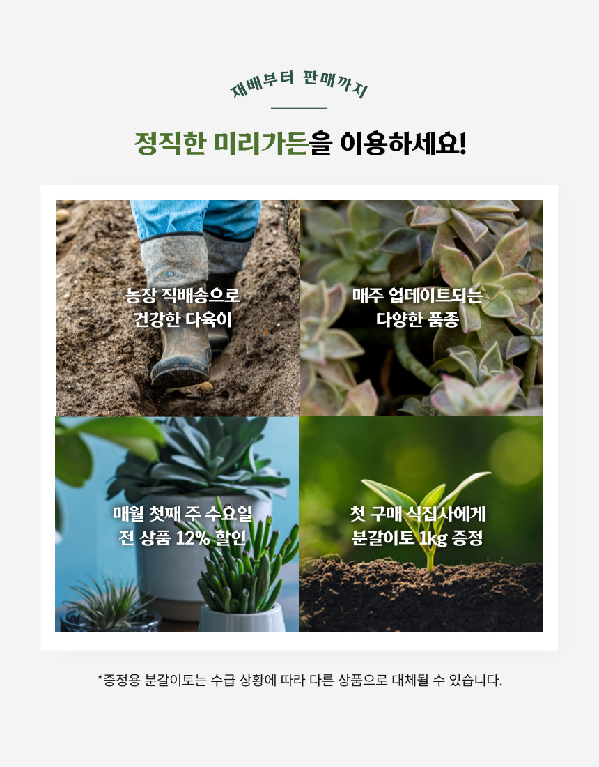 정원매점 이미지