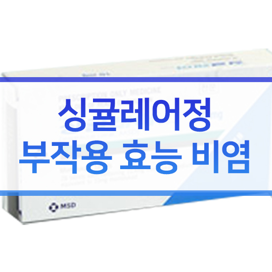  싱귤레어 부작용 효능 비염 대체약