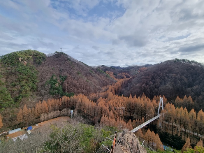 휴양림-전경