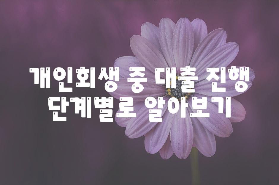 개인회생 중 대출 진행 단계별로 알아보기