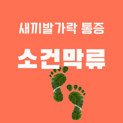 소건막류