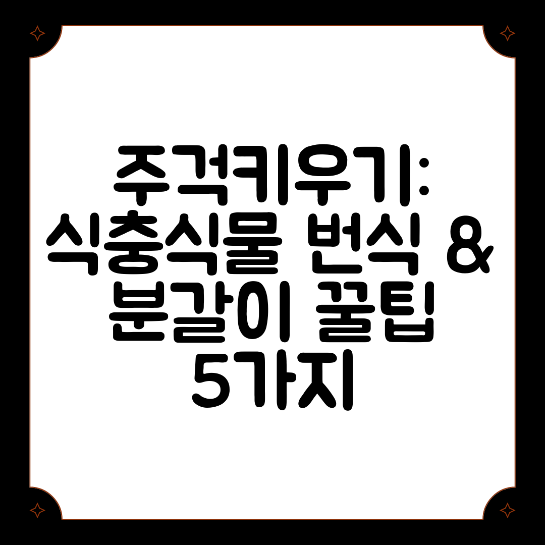 주걱키우기 식충식물 번식 &amp; 분갈이 꿀팁 5가지