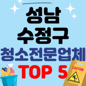 성남 수정구 입주청소 비용 가격 전문 아파트 후기 업체 이사청소 원룸청소 추천 견적 TOP 5