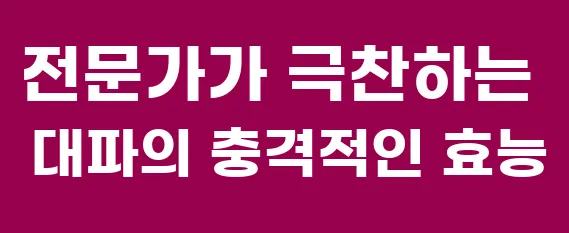 전문가가 극찬하는 대파의 충격적인 효능