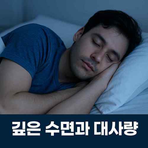 밤에 숙면 중인 사람 – 깊은 수면과 대사량의 상관관계 표현