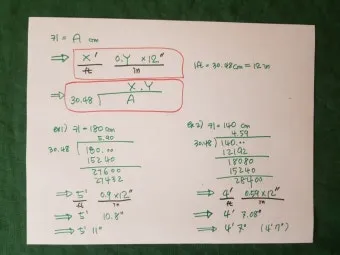 미국에서 사람 키 피트 5피트 10피트 얼마일까_24