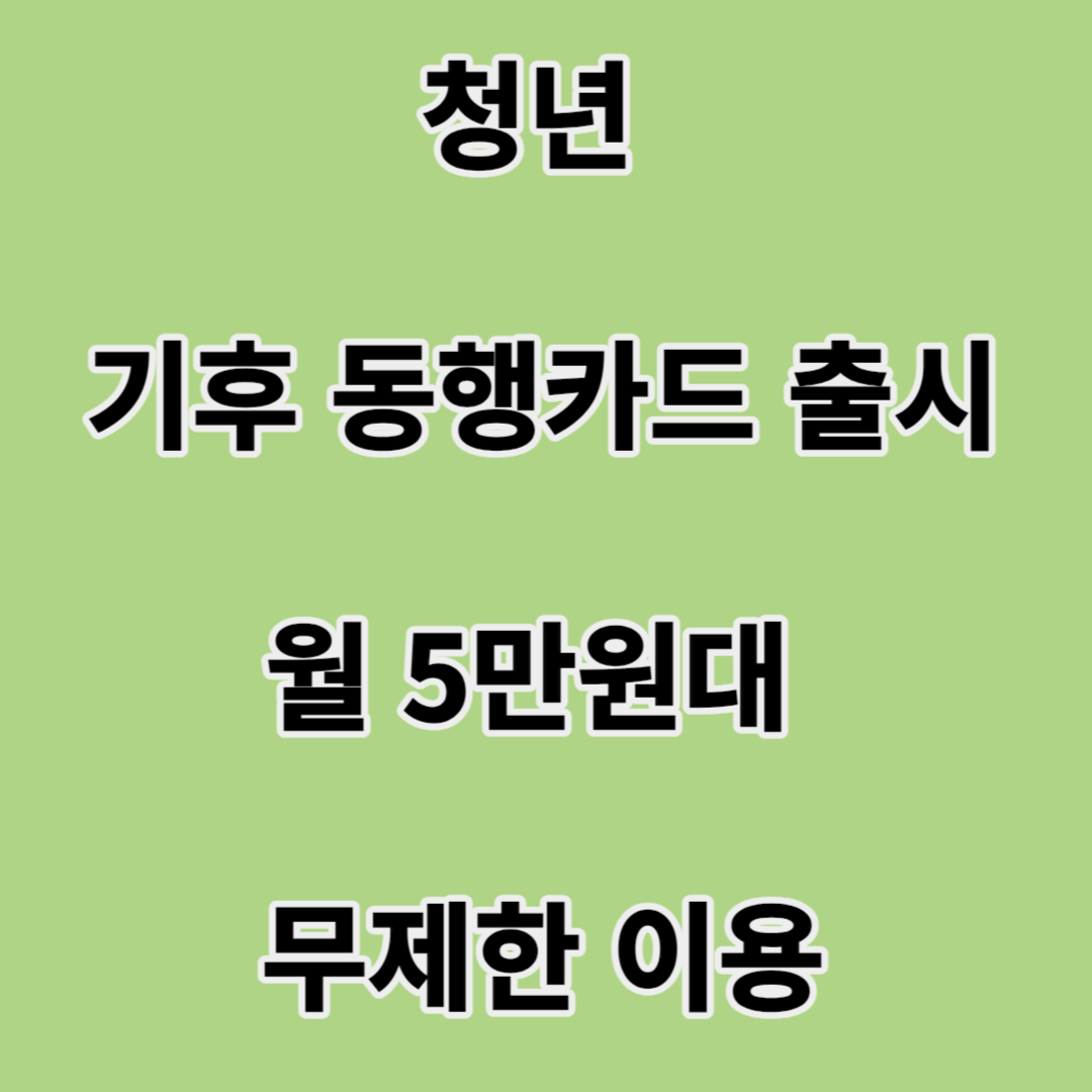 청년기후동행카드 출시