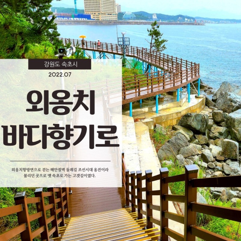  외옹치바다향기로 멋진 해안 절벽을 따라 걷는 잊을수 없는 둘레길