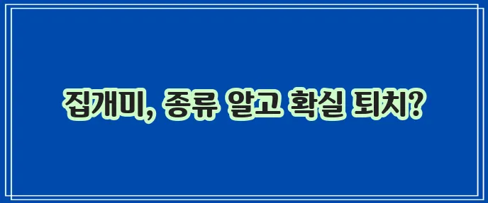 집개미 특성 파악 종류와 퇴치 방법으로 불청객 꼭 쫓아내세요!