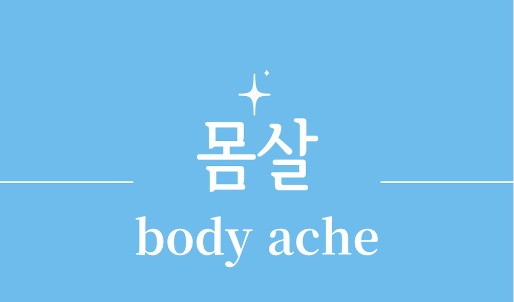 '몸살(body ache)'