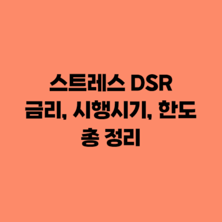 스트레스 DSR 금리