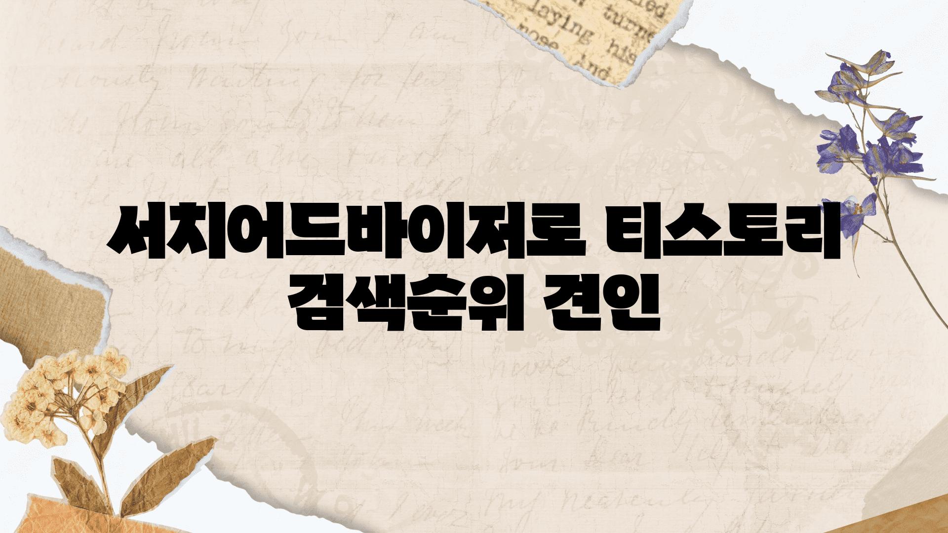 서치어드바이저로 티스토리 검색순위 견인