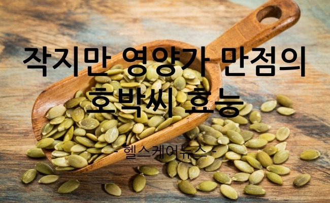 헬스케어뉴스