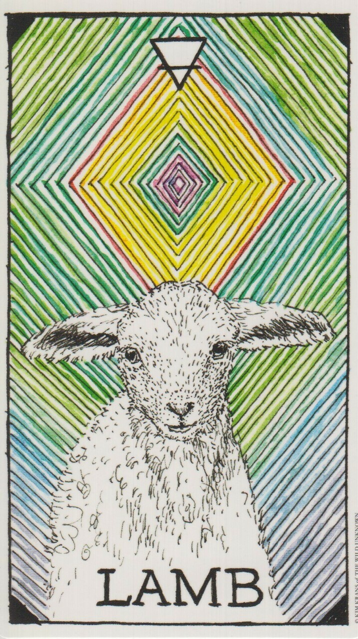  [오라클카드배우기/와일드언노운애니멀스피릿]The Wild Unknown Animal Spirit Lamb 어린 양 해석 및 의미