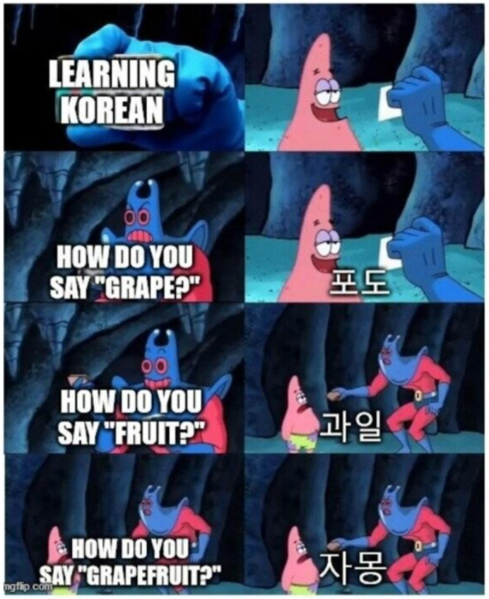 대추 석류 참외 자몽 영어로 grapefruit 뜻 자몽의 효능과 부작용