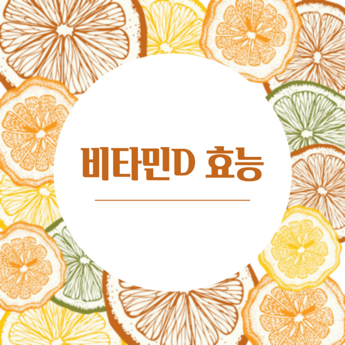 [건강] 비타민D 효능