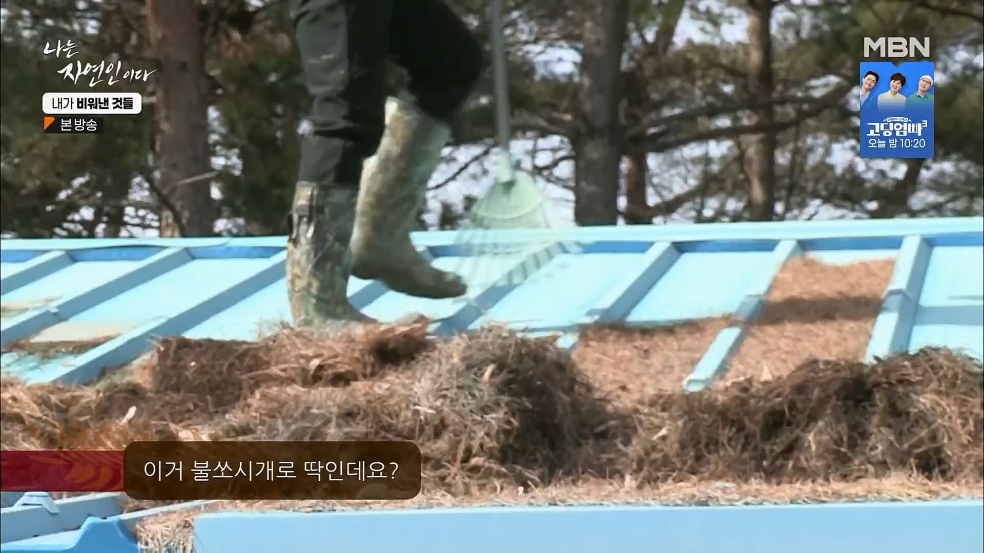 나는 자연인이다.E543.230301p.H264-F1RST.mp4_20230302_192655.965.jpg