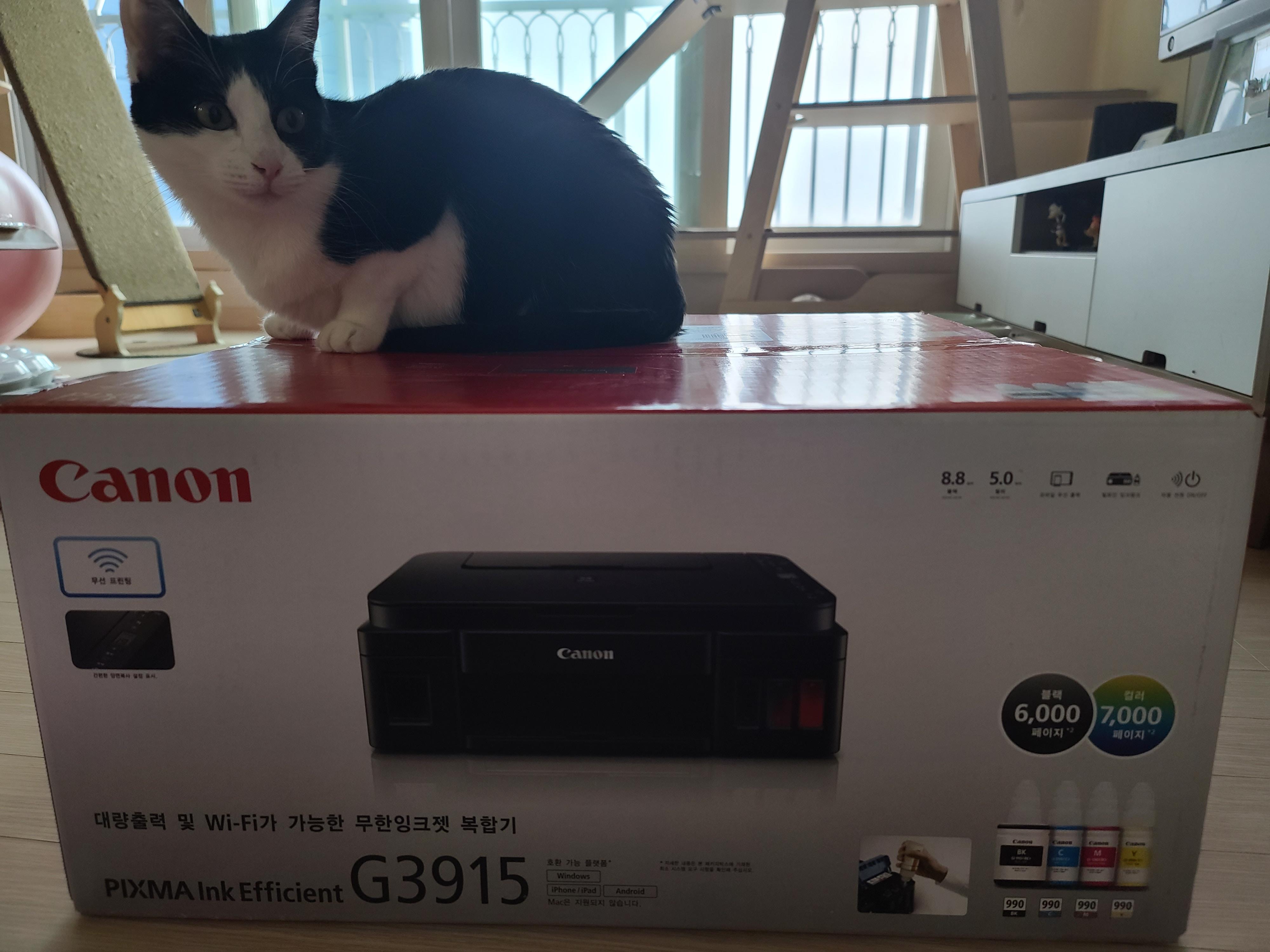캐논 복합기 G3915