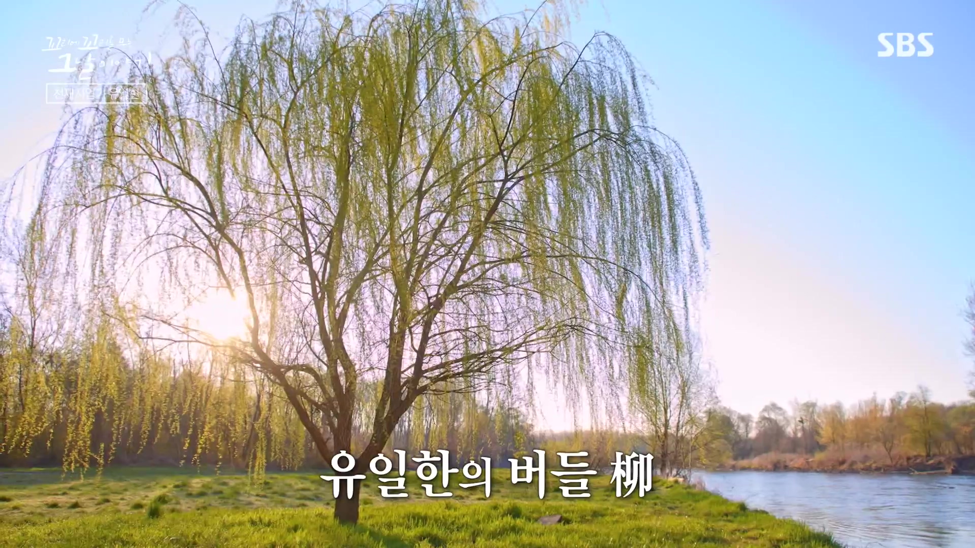 꼬리에 꼬리를 무는 그날 이야기.E107.231221p-NEXT.mp4_20231223_163528.003.jpg