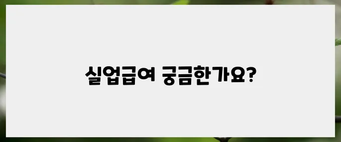 신청방법, 조건, 수급기간: 내 실업급여 완벽 가이드