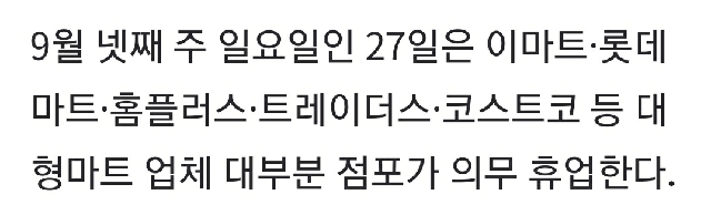  ️대형마트 휴무일 몇몇제외