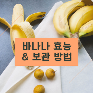 바나나 효능 및 냉동 냉장 보관 방법 정보