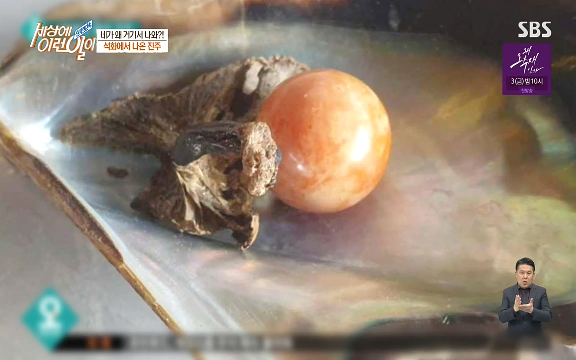 순간포착 세상에 이런일이.E1182.220532p-NEXT.mp4_20220601_173143.212.jpg