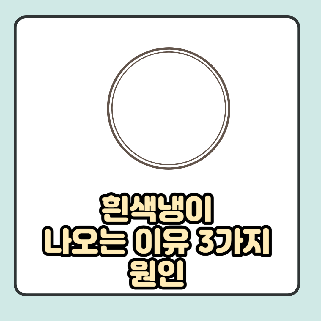  흰색냉이 나오는 이유 3가지 및 대처방법 알아보기.
