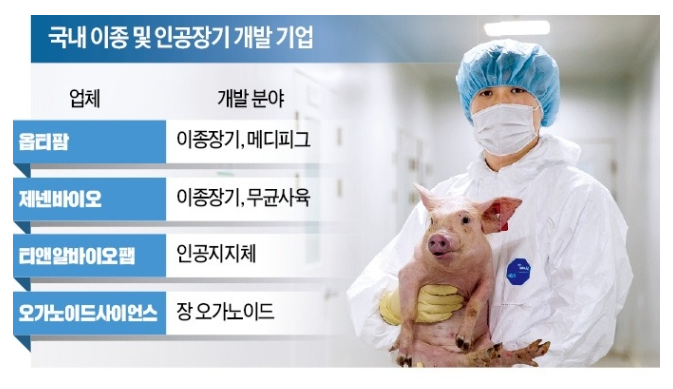 주가분석 (feat. 이종장기, 폐기물) 제넨바이오, 거래정지 재개 급등!