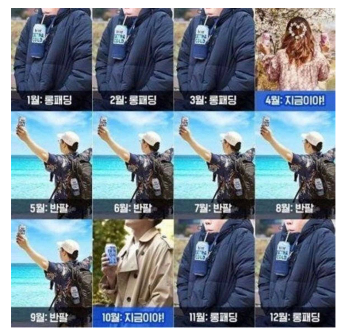  한국인들 1년동안 입는 옷차림