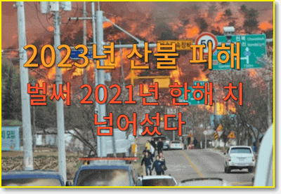 2021년-산불피해액-벌써 -2023년-피해액-능가