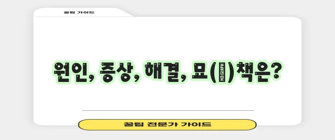 고양이 알레르기 증상 치료 대처법 확실히 알아봐요!