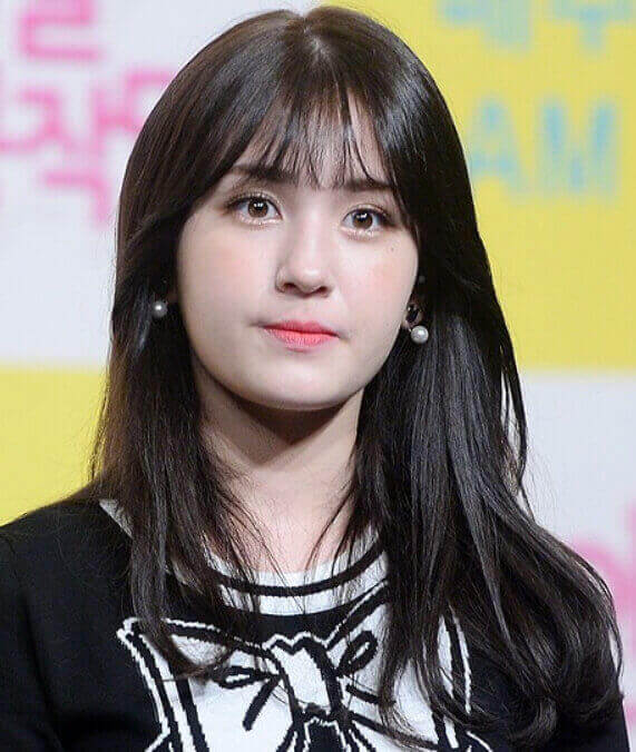 가수 전소미 뮤직 비디오 표절 논란