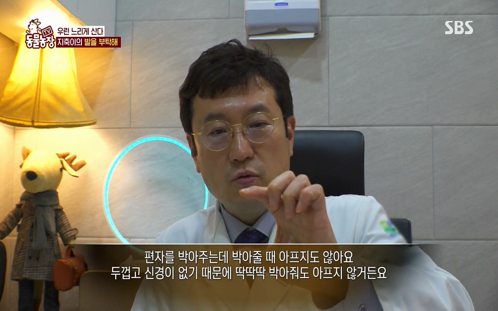 TV 동물농장.E1074.220619p.H264-F1RST.mp4_20220619_181808.789.jpg