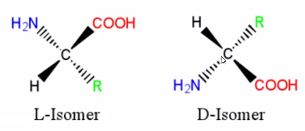 아미노산과 LD 명명법