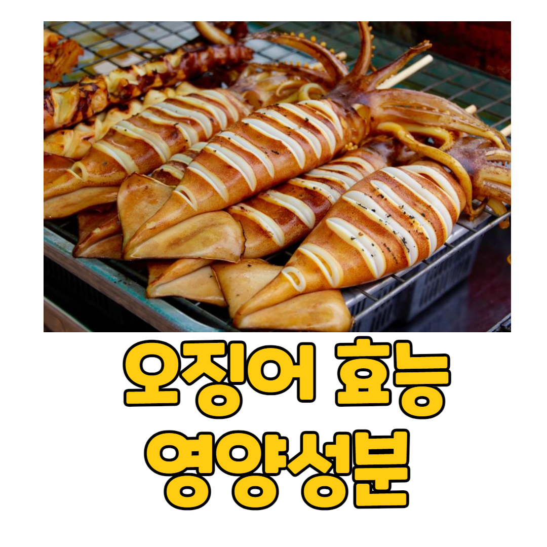 오징어영양성분