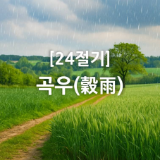 곡우 링크 썸네일