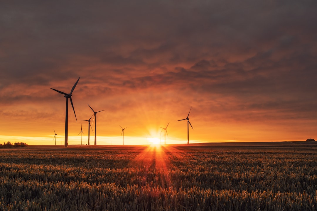 Sustainability