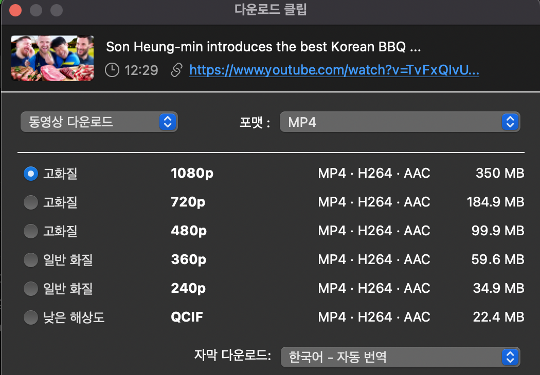 4k-download-자막-다운로드