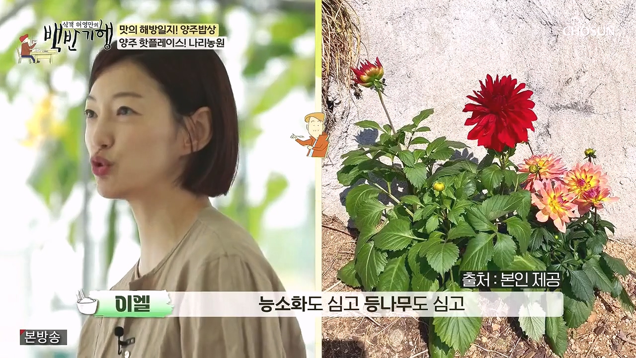 식객 허영만의 백반기행.E214.230902p-NEXT.mp4_20230903_165431.315.jpg