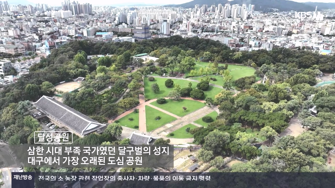 동네 한 바퀴.E244.231022p-NEXT.mp4_20231022_160415.763.jpg