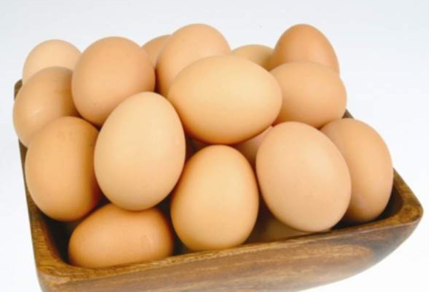 나도비의 건강정보 T.M.I :: 계란/달걀 효능과 부작용