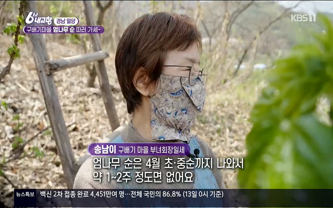 6시 내고향.E7510.220414p.H264-F1RST.mp4_20220419_182107.794.jpg