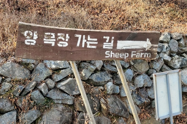  경남 남해 당일여행 코스 양모리학교 Ⅰ