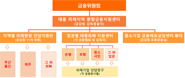 태풍 대비 종합금융지원 체계